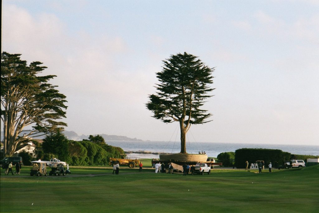 From Ancient Roots to Modern Giants: The Evolution of Large Tree Transplanting 1 From Ancient Roots to Modern Giants: The Evolution of Large Tree Transplanting -