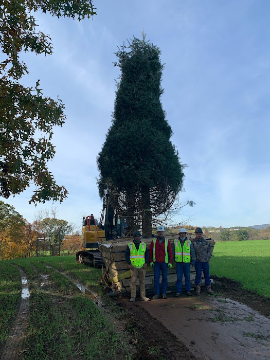 About - Learn About Environment Design Inc. | America's Tree Movers -