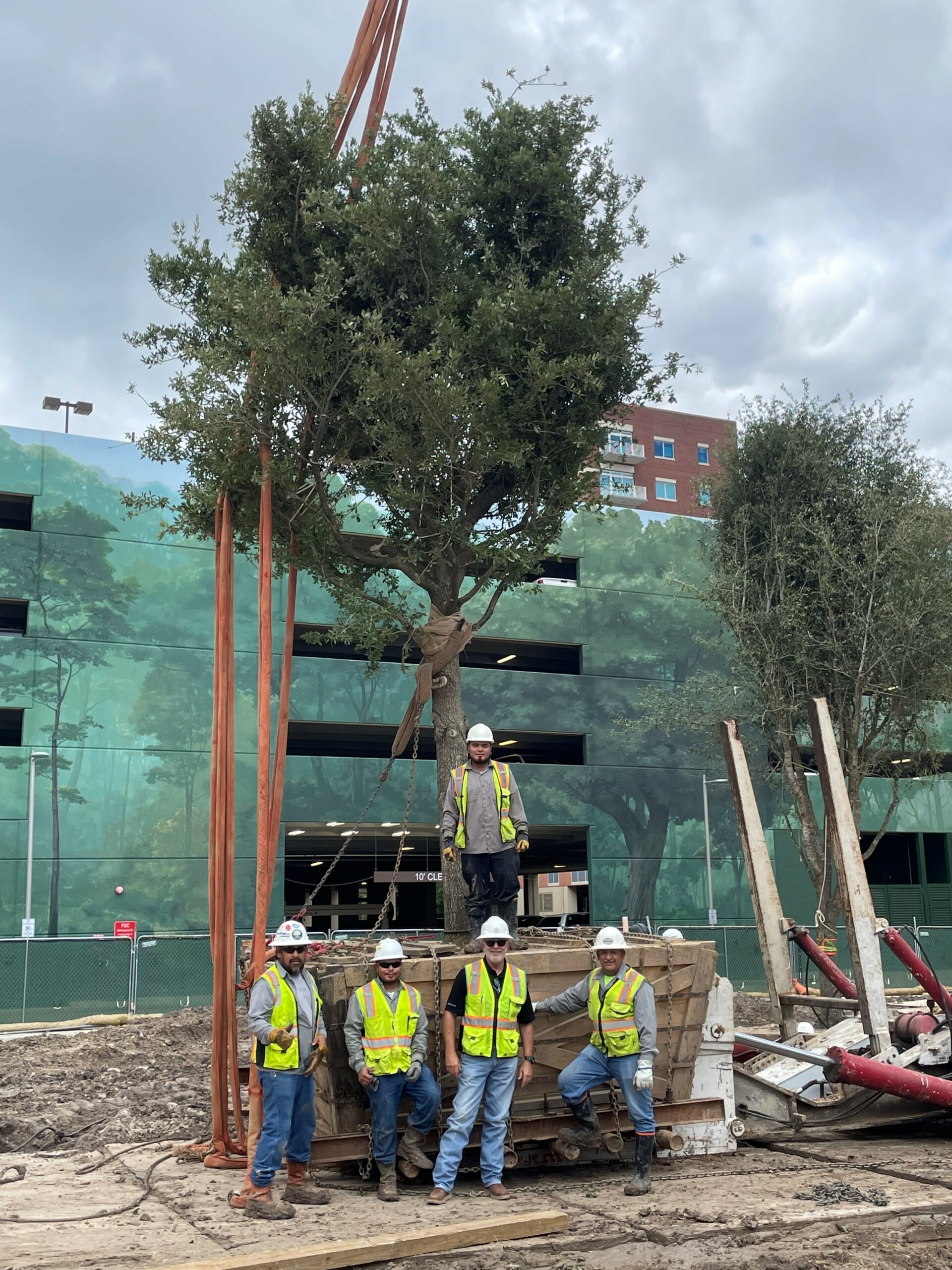 About - Learn About Environment Design Inc. | America's Tree Movers -