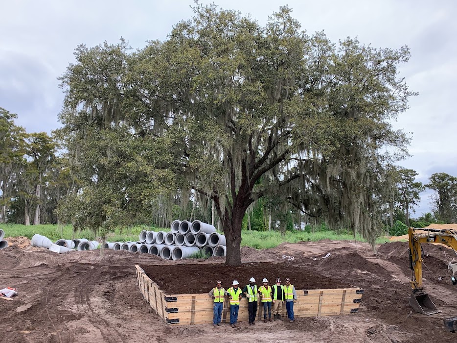 About - Learn About Environment Design Inc. | America's Tree Movers -