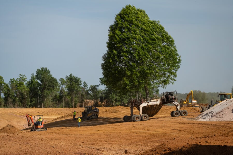 Tree Relocation Services | Environmental Design Inc.