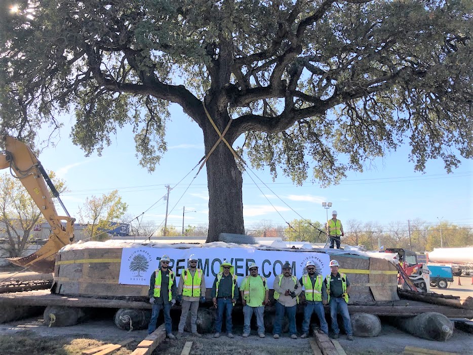 About - Learn About Environment Design Inc. | America's Tree Movers -