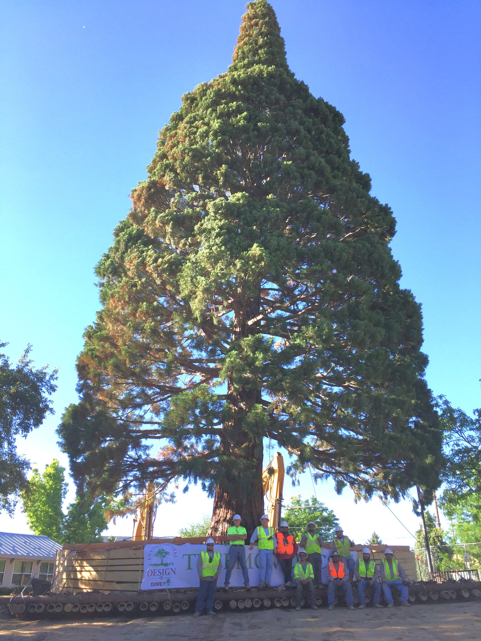 About - Learn About Environment Design Inc. | America's Tree Movers -