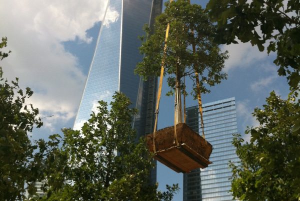 Public Spaces -