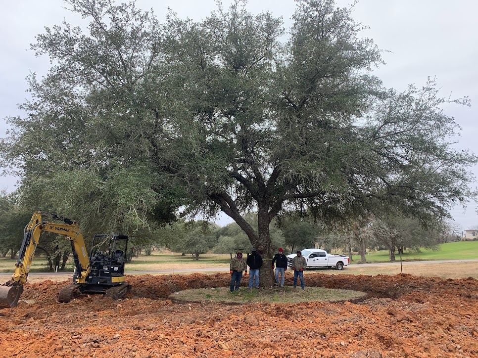About - Learn About Environment Design Inc. | America's Tree Movers -