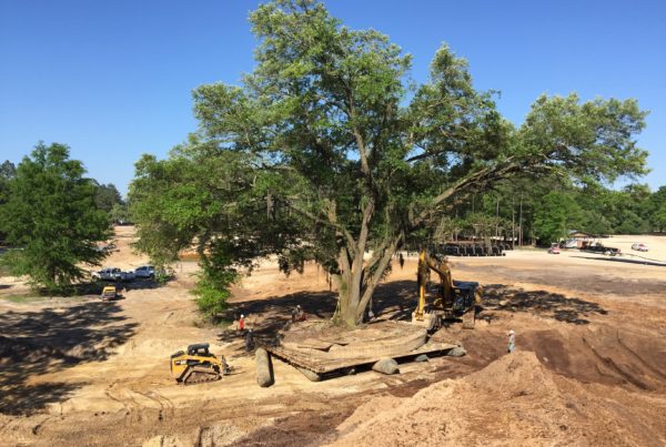 Golf Course Construction -