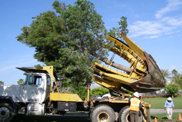 Golf Course Construction -