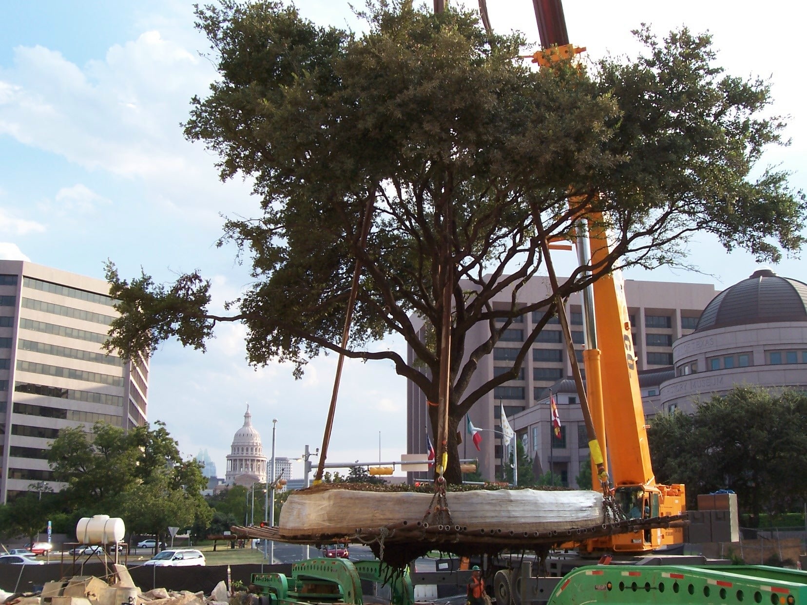 Tree-Moving in a City