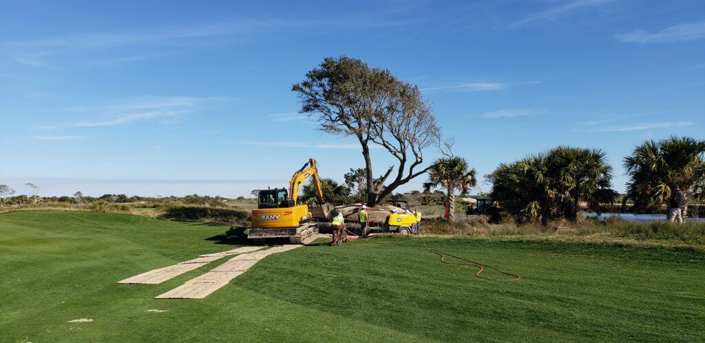 Moving a tree on a golf course | Treemover Environmental Design Inc (EDI)