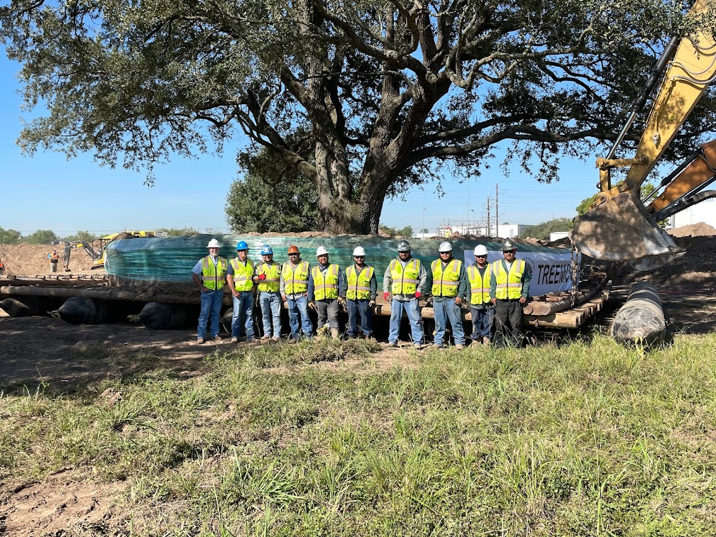 About - Learn About Environment Design Inc. | America's Tree Movers -