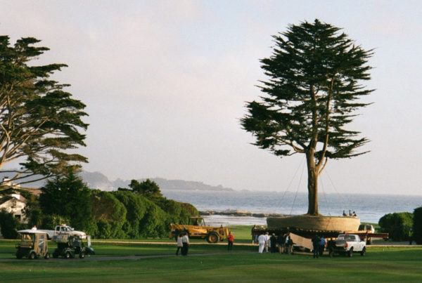Golf Course Construction -
