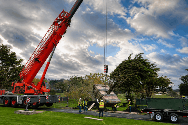 Pebble Beach - Box Tree - 2026 Move