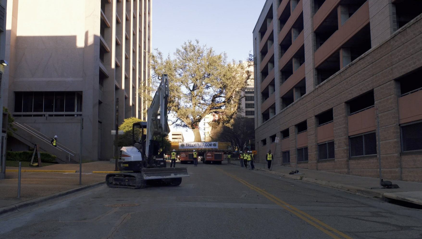 ArborLift® -