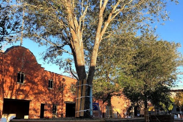 Stockyards_IMG_0459
