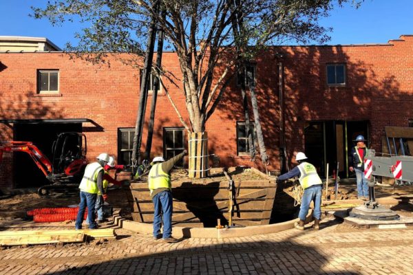 Stockyards_IMG_0470