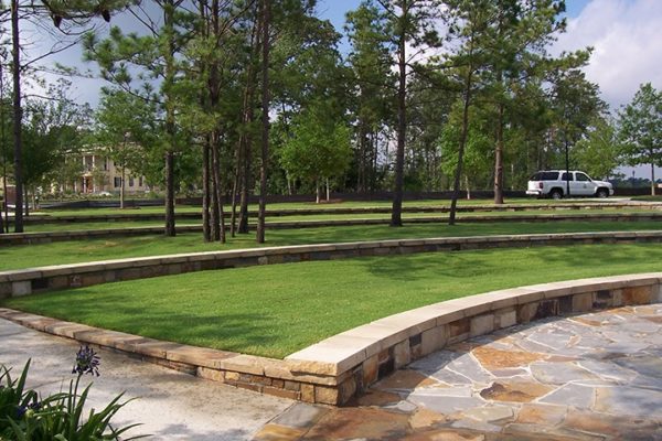 TheWoodlands_100_1768 | Landscaping and Moving Large Trees | Treemover Environmental Design Inc (EDI)