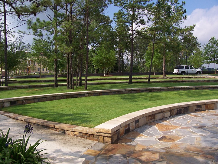 Landscaping and Moving Large Trees