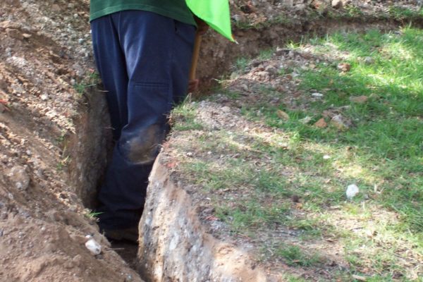 UT_Root Pruning 24 inches-min