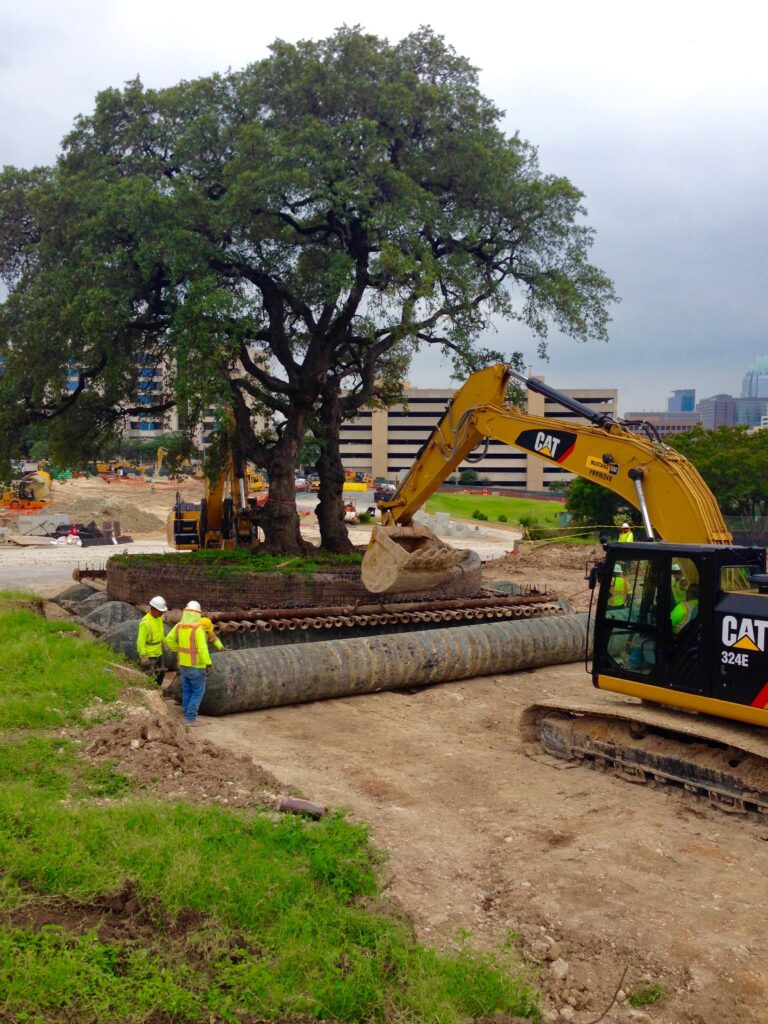 Moving Large Trees | Treemover Environmental Design Inc (EDI