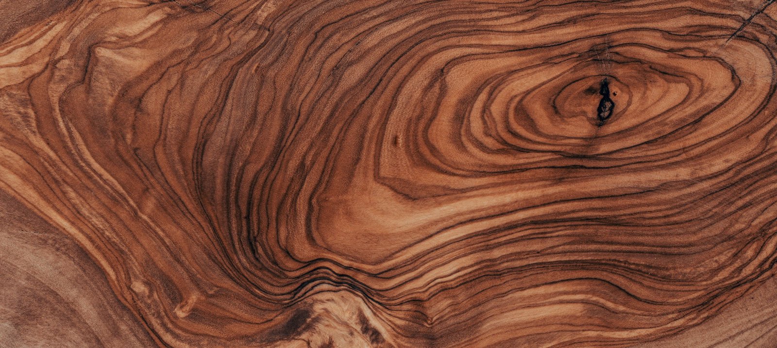 Tree Burls | What Are They And How to Prevent Them 1 Tree burl | Treemover Environmental Design Inc (EDI), the one-stop-shop for moving trees