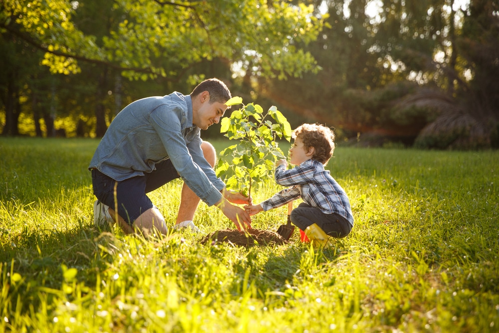 8 facts you probably didn't know about trees