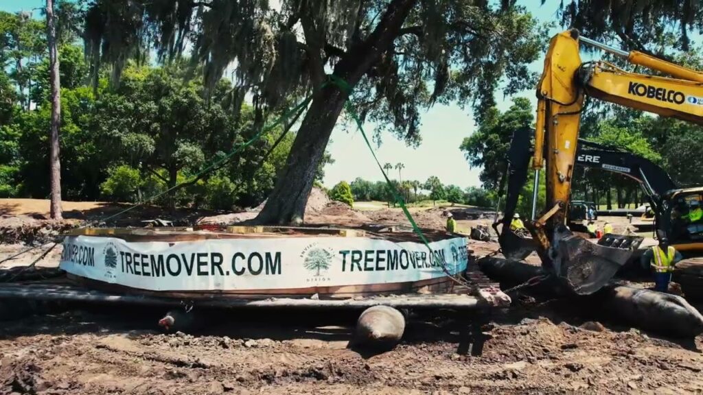 What Makes a TPC Course Special? The Design and Landscape Behind TPC Sawgrass -