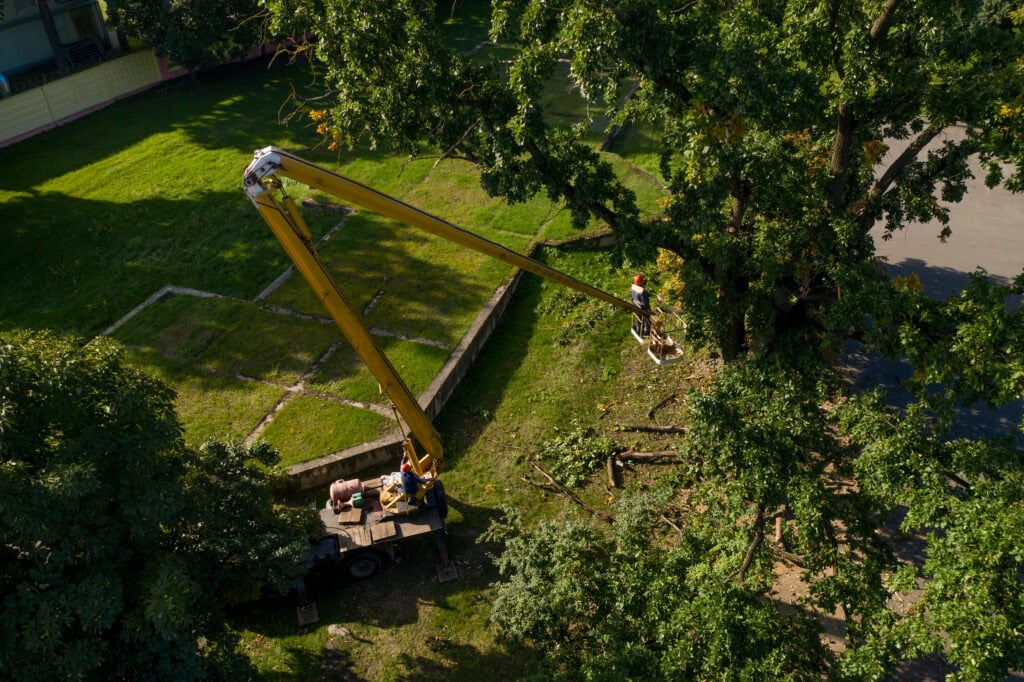 How ArborLift® Technology Makes Large Tree Relocation Possible 2 How ArborLift® Technology Makes Large Tree Relocation Possible -